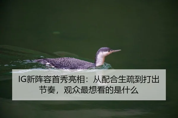 IG新阵容首秀亮相：从配合生疏到打出节奏，观众最想看的是什么